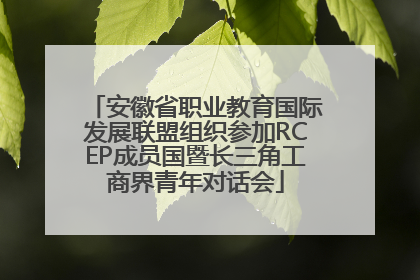安徽省职业教育国际发展联盟组织参加RCEP成员国暨长三角工商界青年对话会