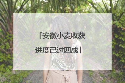 安徽小麦收获进度已过四成