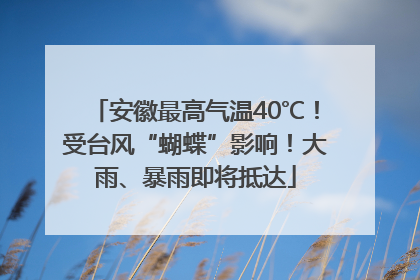 安徽最高气温40℃！受台风“蝴蝶”影响！大雨、暴雨即将抵达