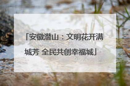 安徽潜山：文明花开满城芳 全民共创幸福城