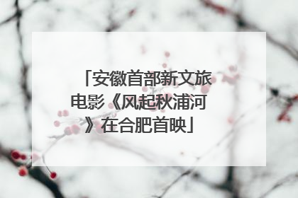 安徽首部新文旅电影《风起秋浦河》在合肥首映