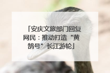 安庆文旅部门回复网民：推动打造“黄鹄号”长江游轮