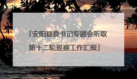 安阳县委书记专题会听取第十二轮巡察工作汇报