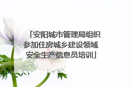 安阳城市管理局组织参加住房城乡建设领域安全生产信息员培训