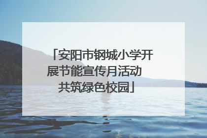 安阳市钢城小学开展节能宣传月活动 共筑绿色校园