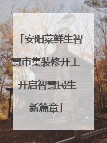 安阳菜鲜生智慧市集装修开工 开启智慧民生新篇章