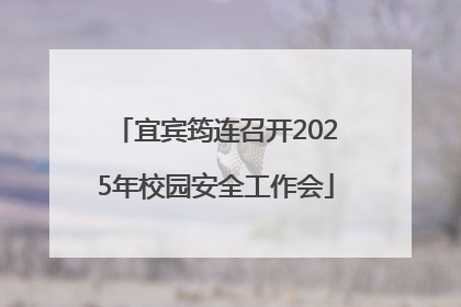 宜宾筠连召开2025年校园安全工作会