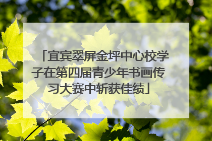 宜宾翠屏金坪中心校学子在第四届青少年书画传习大赛中斩获佳绩