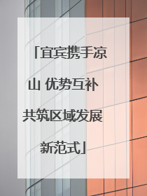 宜宾携手凉山 优势互补共筑区域发展新范式