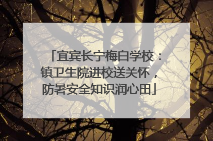 宜宾长宁梅白学校：镇卫生院进校送关怀，防暑安全知识润心田
