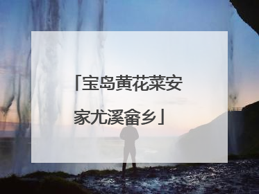 宝岛黄花菜安家尤溪畲乡
