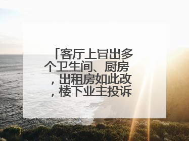 客厅上冒出多个卫生间、厨房，出租房如此改，楼下业主投诉：多少不舒服