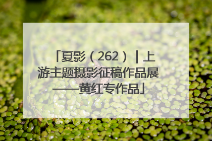 夏影（262）｜上游主题摄影征稿作品展——黄红专作品