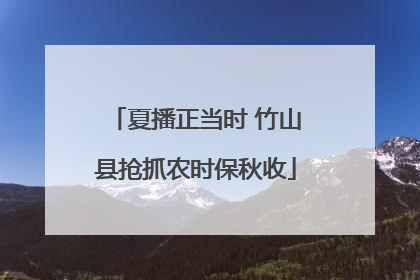 夏播正当时 竹山县抢抓农时保秋收