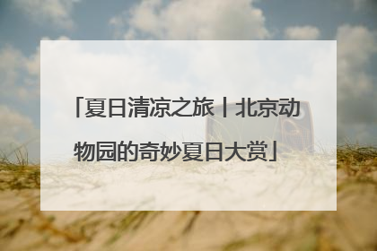 夏日清凉之旅丨北京动物园的奇妙夏日大赏