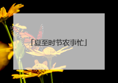 夏至时节农事忙