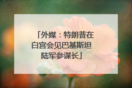 外媒：特朗普在白宫会见巴基斯坦陆军参谋长