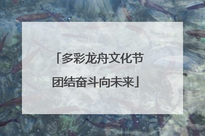 多彩龙舟文化节 团结奋斗向未来