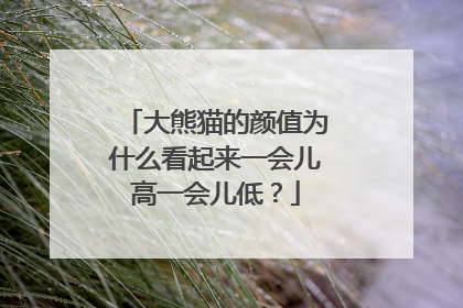 大熊猫的颜值为什么看起来一会儿高一会儿低？