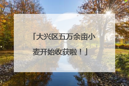 大兴区五万余亩小麦开始收获啦！