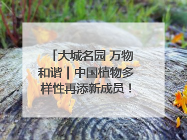 大城名园 万物和谐｜中国植物多样性再添新成员！它只在西藏墨脱
