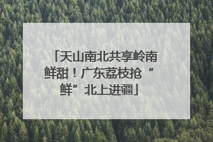 天山南北共享岭南鲜甜！广东荔枝抢“鲜”北上进疆