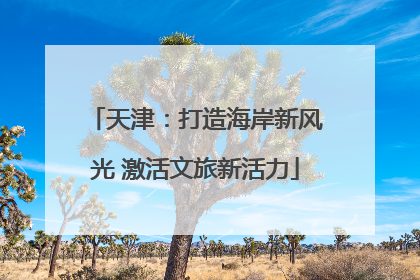 天津：打造海岸新风光 激活文旅新活力