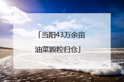 当阳43万余亩油菜颗粒归仓