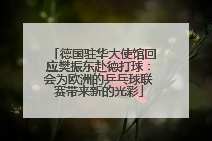 德国驻华大使馆回应樊振东赴德打球：会为欧洲的乒乓球联赛带来新的光彩