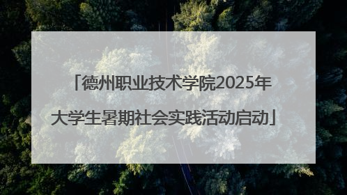 德州职业技术学院2025年大学生暑期社会实践活动启动