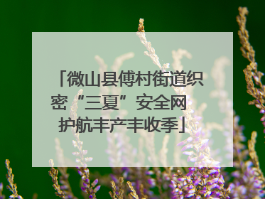 微山县傅村街道织密“三夏”安全网 护航丰产丰收季