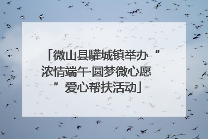 微山县驩城镇举办“浓情端午·圆梦微心愿”爱心帮扶活动