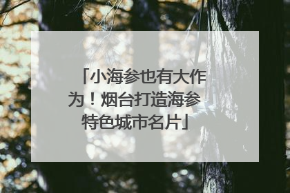 小海参也有大作为！烟台打造海参特色城市名片