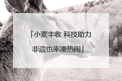 小麦丰收 科技助力 非遗也来凑热闹
