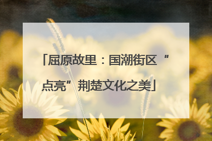 屈原故里：国潮街区“点亮”荆楚文化之美