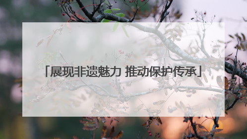展现非遗魅力 推动保护传承