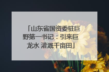 山东省国资委驻巨野第一书记：引来巨龙水 灌溉千亩田