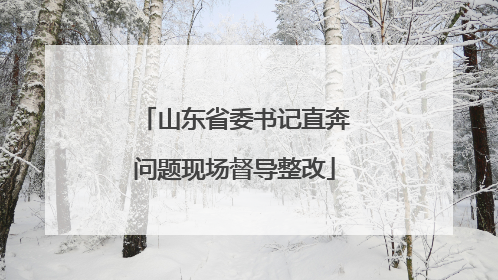 山东省委书记直奔问题现场督导整改