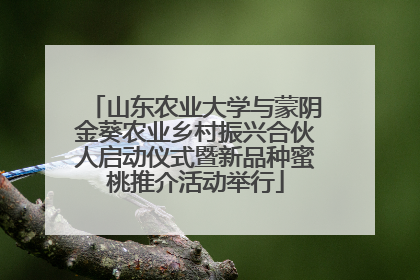 山东农业大学与蒙阴金葵农业乡村振兴合伙人启动仪式暨新品种蜜桃推介活动举行