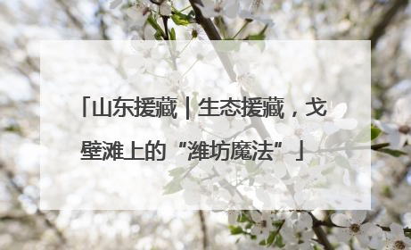 山东援藏｜生态援藏，戈壁滩上的“潍坊魔法”