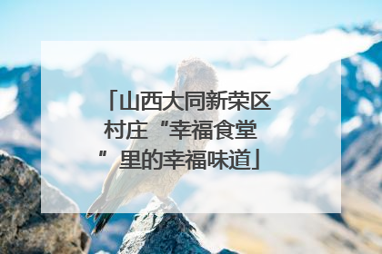 山西大同新荣区 村庄“幸福食堂”里的幸福味道