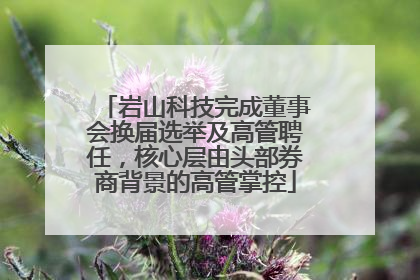岩山科技完成董事会换届选举及高管聘任，核心层由头部券商背景的高管掌控