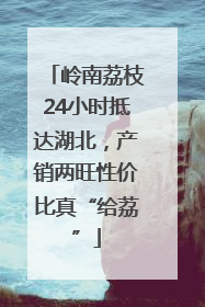 岭南荔枝24小时抵达湖北，产销两旺性价比真“给荔”