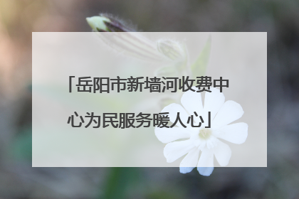 岳阳市新墙河收费中心为民服务暖人心