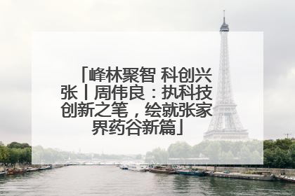 峰林聚智 科创兴张丨周伟良：执科技创新之笔，绘就张家界药谷新篇