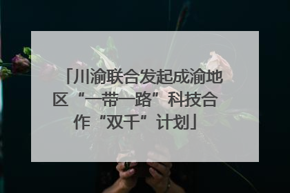 川渝联合发起成渝地区“一带一路”科技合作“双千”计划