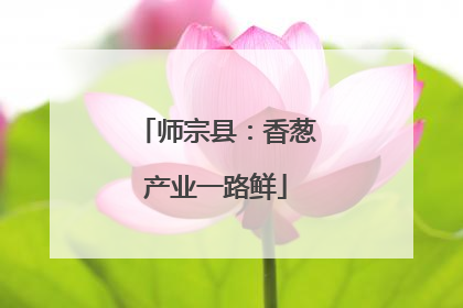 师宗县：香葱产业一路鲜