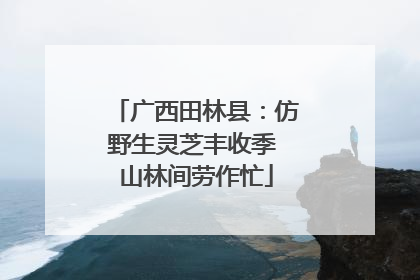 广西田林县：仿野生灵芝丰收季 山林间劳作忙