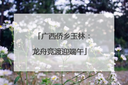 广西侨乡玉林：龙舟竞渡迎端午