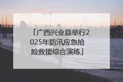 广西兴业县举行2025年防汛应急抢险救援综合演练